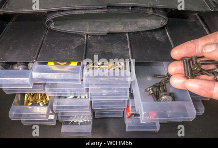 Closeup POV shot of a man’s hands pouring small bolts / screws into a compartment tray of an organizer / storage unit for small metal fittings. Stock Photo