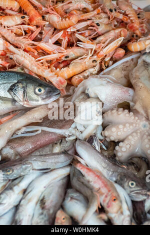 Various fresh seafood and fish displayed on the table for sale in a fish market in Bari, Italy: shrimps, squids, cuttlefish, octopus,  red scorpionfis Stock Photo