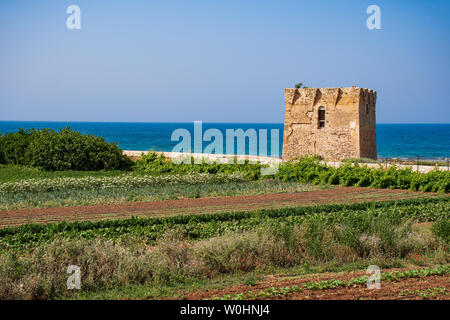 Baroque watchtower, beautiful old tower in San Vito, Polignano a Mare, Bari, Puglia, Italy with with blue sea, beach and agriculture cultivated field, Stock Photo