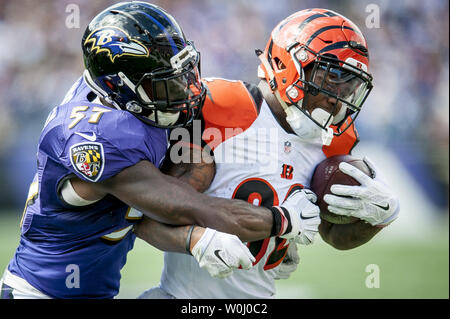 Bengals ravens hi-res stock photography and images - Alamy