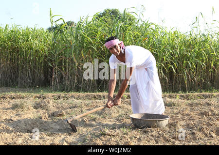 Indian farmer working in a field Stock Photo