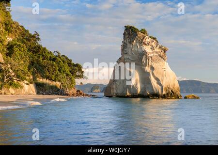 Rocks in the sea at Cathedral Cove, Mercury Bay, Coromandel Peninsula, North Island, New Zealand Stock Photo
