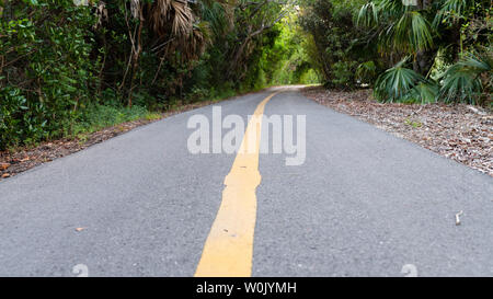 Yellow center line on a rural tarred road winding away through lush green tropical vegetation in a low angle view Stock Photo