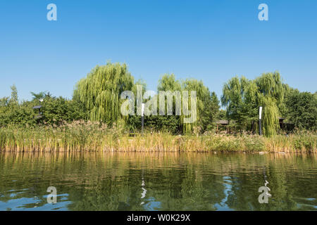 Autumn China Fushun early morning park river bank willow stone bridge cruise ship Stock Photo