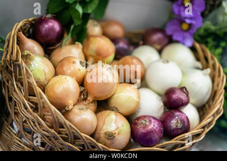 Assorted onions of different varieties. Basket with fresh organic vegetables, Live vitamins, selectiv focus. Farmers market Stock Photo