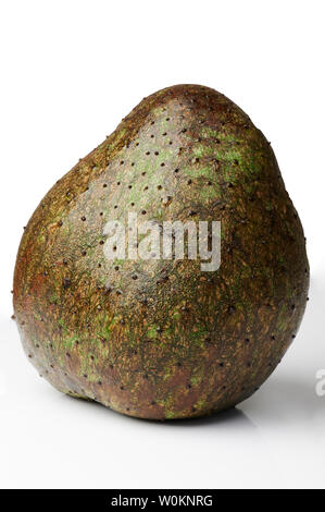 Big soursop fruit isolated on white studio background Stock Photo