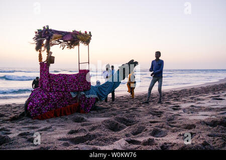 Diu, Daman, Gujarat, India - Circa 2019: Camel on beach with a hat, garlands and a palanquin Stock Photo