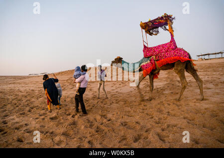 Diu, Daman, Gujarat, India - Circa 2019: Tourists walking up to a camel on the beach for a rides. These camels are trained to take tourists around the Stock Photo