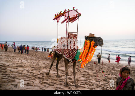 Diu, Daman, Gujarat, India - Circa 2019: Camel on beach with a hat, garlands and a palanquin giving rides to tourists as they flock to the coast to es Stock Photo