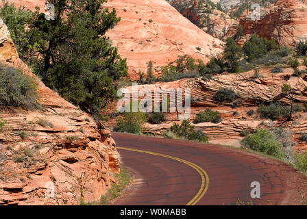 A beautiful scene of a road winding through a canyon surrounded by red cliffs, and green shrubs and trees, in Zion National Park, Utah, USA Stock Photo