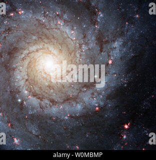 Spiral Galaxy M74 is seen in this Hubble Space Telescope composite image. Messier 74, also called NGC 628, is a stunning example of a 'grand-design' spiral galaxy that is viewed by Earth observers nearly face-on. Its perfectly symmetrical spiral arms emanate from the central nucleus and are dotted with clusters of young blue stars and glowing pink regions of ionized hydrogen (hydrogen atoms that have lost their electrons). M74 is located roughly 32 million light-years away in the direction of the constellation Pisces, the Fish.    (UPI Photo/NASA/ESA/HST) Stock Photo