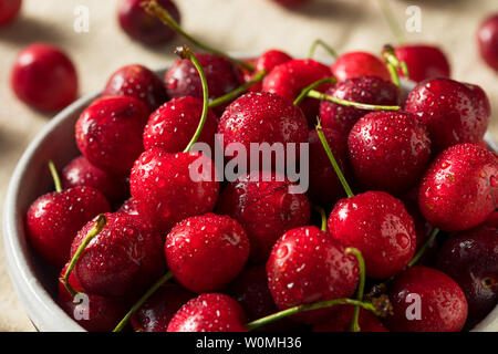 Raw Red Organic Cherries Ready to Eat Stock Photo