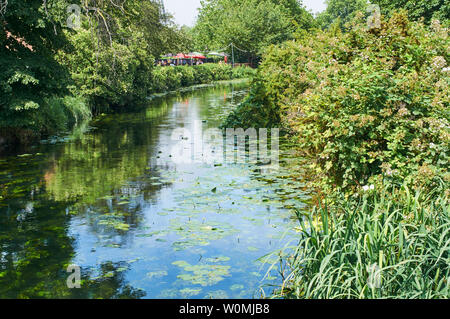 Coppermill Stream in summer on Walthamstow Wetlands, North London UK,  with the garden of the Ferry Boat Inn in the background Stock Photo