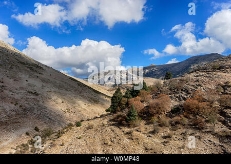 The sierra de las Nieves natural park in the province of Malaga, Andalucia Stock Photo