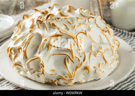 Homemade Toasted Baked Alaska with Chocolate Berry Vanilla Ice Cream Stock Photo