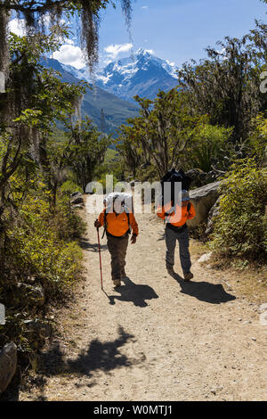 Porters carrying heavy loads on the Inca trail, day one, KM82 to Huayllabamba, Peru, South America Stock Photo