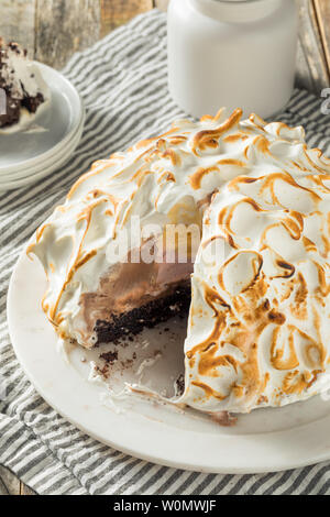 Homemade Toasted Baked Alaska with Chocolate Berry Vanilla Ice Cream Stock Photo