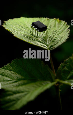 Electronic entity over a plant leaf