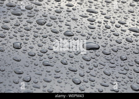 pattern of rain water droplets beading on a polished grey metal surface. Beads of rain sitting on a clean grey background Stock Photo