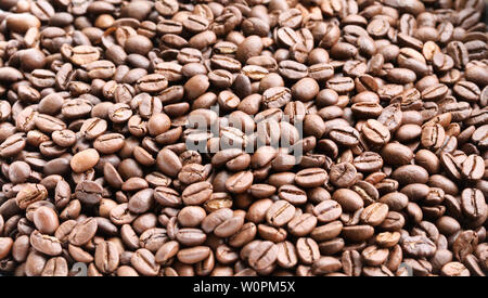wide shot of a large amount of beautiful freshly roasted Indian Monsoon Malabar coffee beans. Cafe espresso barista roaster concept. Stock Photo
