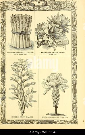 Archive image from page 110 of Descriptive catalogue of a choice. Descriptive catalogue of a choice collection of vegetable, agricultural and flower seeds, gladiolus, lilies, and other summer flowering bulbs descriptivecatal1880bkbl Year: 1880 Stock Photo
