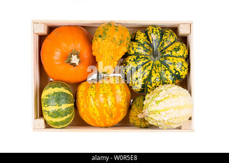 A wooden box filled with many colorful pumpkins isolated on white background Stock Photo