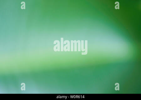 Defocused dynamic abstract green background. Emerald motion effect decorative backdrop. Natural summer blurry light and dark green texture. Fresh no f Stock Photo