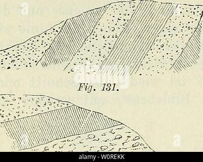 Archive image from page 387 of Der Beobachter; allgemeine Anleitung zu. Der Beobachter; allgemeine Anleitung zu Beobachtungen über Land und Leute für Touristen, Exkursionisten und Forschungsreisende. Nach dem 'Manuel du voyageur', unter Mitwirkung des Verfassers derbeobachterall00kalt Year: 1883  312 BEOBACHTUNGEN UND STUDIEN auf den beiden entgegengesetzten Seiten des Kerngesteins nach dem Innern hin sich einander nähern. Wenn zwei oder mehr Schichten zu einander parallel sind, so heissen sie gleichförmig öderJcorilcordant gelagert, gleich- Fiq. 130. Fächerförmige . , . -, . . . -, schicktens Stock Photo