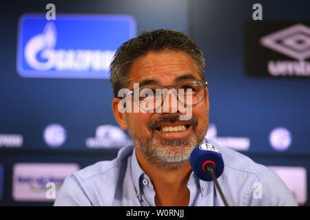 firo: 27.06.2019, football, 1.Bundesliga, season 2019/2020, FC Schalke 04, PK, press conference, presentation of sporty management Schalke, David WAGNER, coach | usage worldwide Stock Photo