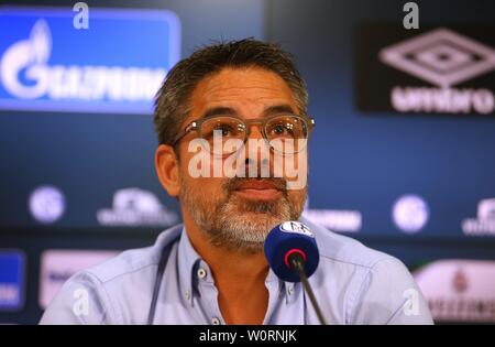 firo: 27.06.2019, football, 1.Bundesliga, season 2019/2020, FC Schalke 04, PK, press conference, presentation of sporty management Schalke, David WAGNER, coach | usage worldwide Stock Photo