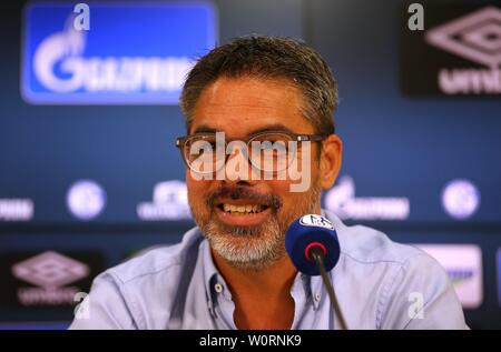 firo: 27.06.2019, football, 1.Bundesliga, season 2019/2020, FC Schalke 04, PK, press conference, presentation of sporty management Schalke, David WAGNER, coach | usage worldwide Stock Photo