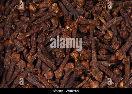Dried cloves. High resolution photo. Stock Photo