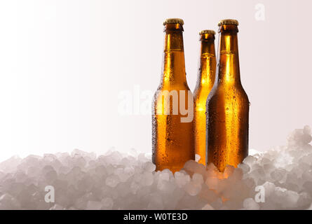 Three full beer bottles on crushed ice and white gradient background . Horizontal composition. Front view. Stock Photo