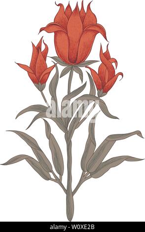 Wood block print vector floral element. Traditional oriental ethnic motif of India Mogul, bunch of scarlet red flowers isolated on white background. Stock Vector