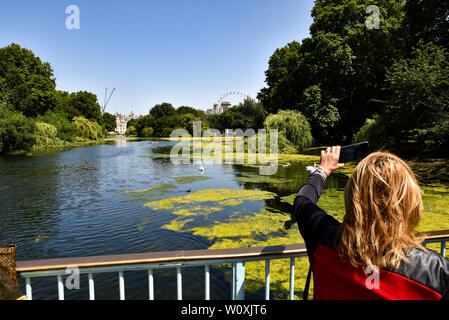 St James's Park, London, UK. 28th June, 2019. A sunny and warm day in St James's Park. Credit: Matthew Chattle/Alamy Live News Stock Photo