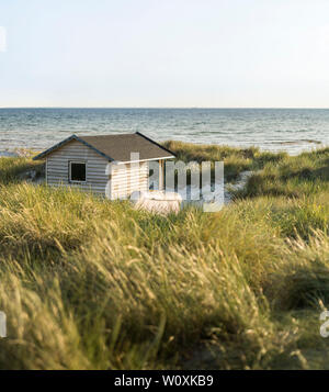 Beach hut and sand dunes at the beach with the sea in the background at Skanor, Skane, Sweden, Scandinavia Stock Photo