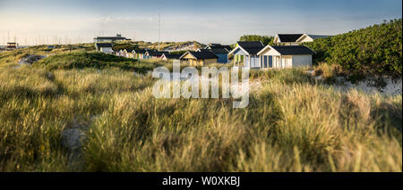 Beach huts and sand dunes at the beach at Skanor, Skane, Sweden, Scandinavia Stock Photo