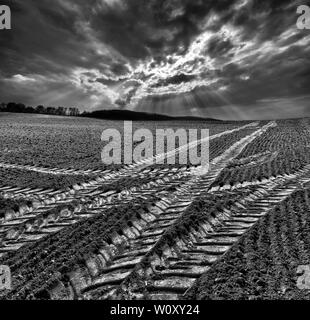 Tractor tracks, a field near Oberweser, Weser Uplands, Weserbergland, Hesse, Germany Stock Photo