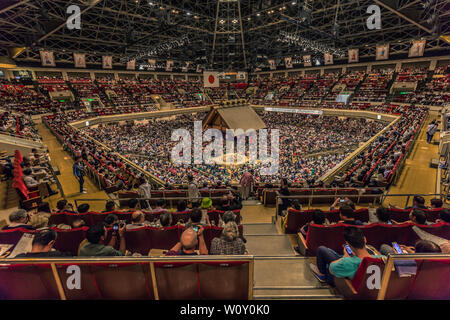 Tokyo - May 19, 2019: Sumo wrestling match in the Ryogoku arena, Tokyo, Japan Stock Photo