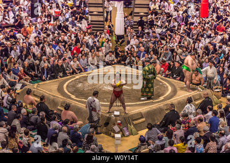 Tokyo - May 19, 2019: Sumo wrestling match in the Ryogoku arena, Tokyo, Japan Stock Photo