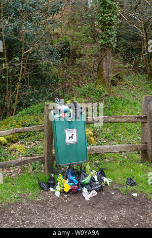 Overflowing dog poo bin at Fingle Bridge,Devon in the UK countryside. Stock Photo