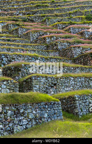 Inca trail, day 3, Pacay Mayo Alto via Abra de Runku Racay pass and ruins, Sayacmarca ruins,  Puyupatamarca ruins and Winay Wayna terraces and campsit Stock Photo