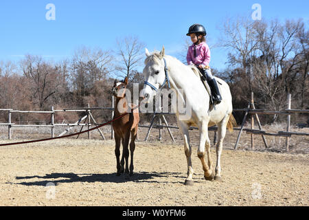 Horse riding lessons for children.Little girl on a horseback riding a white mare. Little brown foal canters alongside Stock Photo