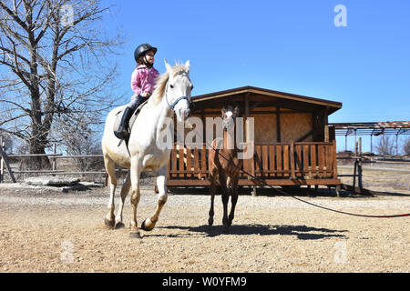 Horse riding lessons for children.Little girl on a horseback riding a white mare. Little brown foal canters alongside Stock Photo