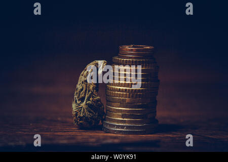 cannabis bud lies among euro coins close-up. purchase and sale of legalized soft drugs. cheap medical cannabis business concept. Stock Photo