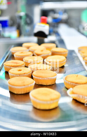 Automatic bakery muffins production line on conveyor belt equipment machinery in factory, industrial food production. Stock Photo