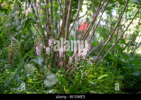 Thee Family Monsters Garden at the 2019 Chelsea Flower Show by iDverde in aid of Family Action Stock Photo