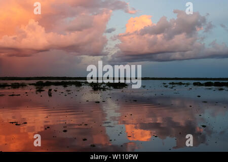 Peru, Peruvian Amazonas landscape. The photo present reflections of Amazon river Stock Photo