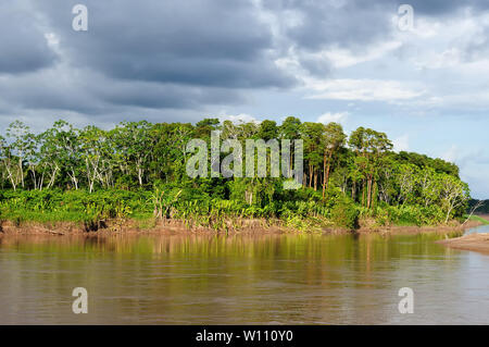 Peru, Peruvian Amazonas landscape. The photo present reflections of Amazon river Stock Photo