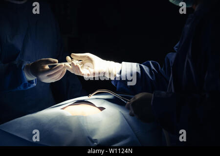 hands of surgeons team sending surgical instrument to partner hand working for rescue patient in operation room at hospital, emergency case, surgery Stock Photo